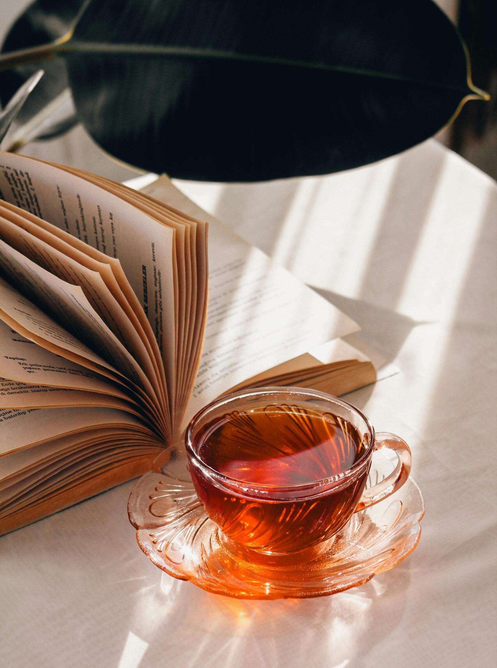 About page image inspired by reflection, growth, and intentional living