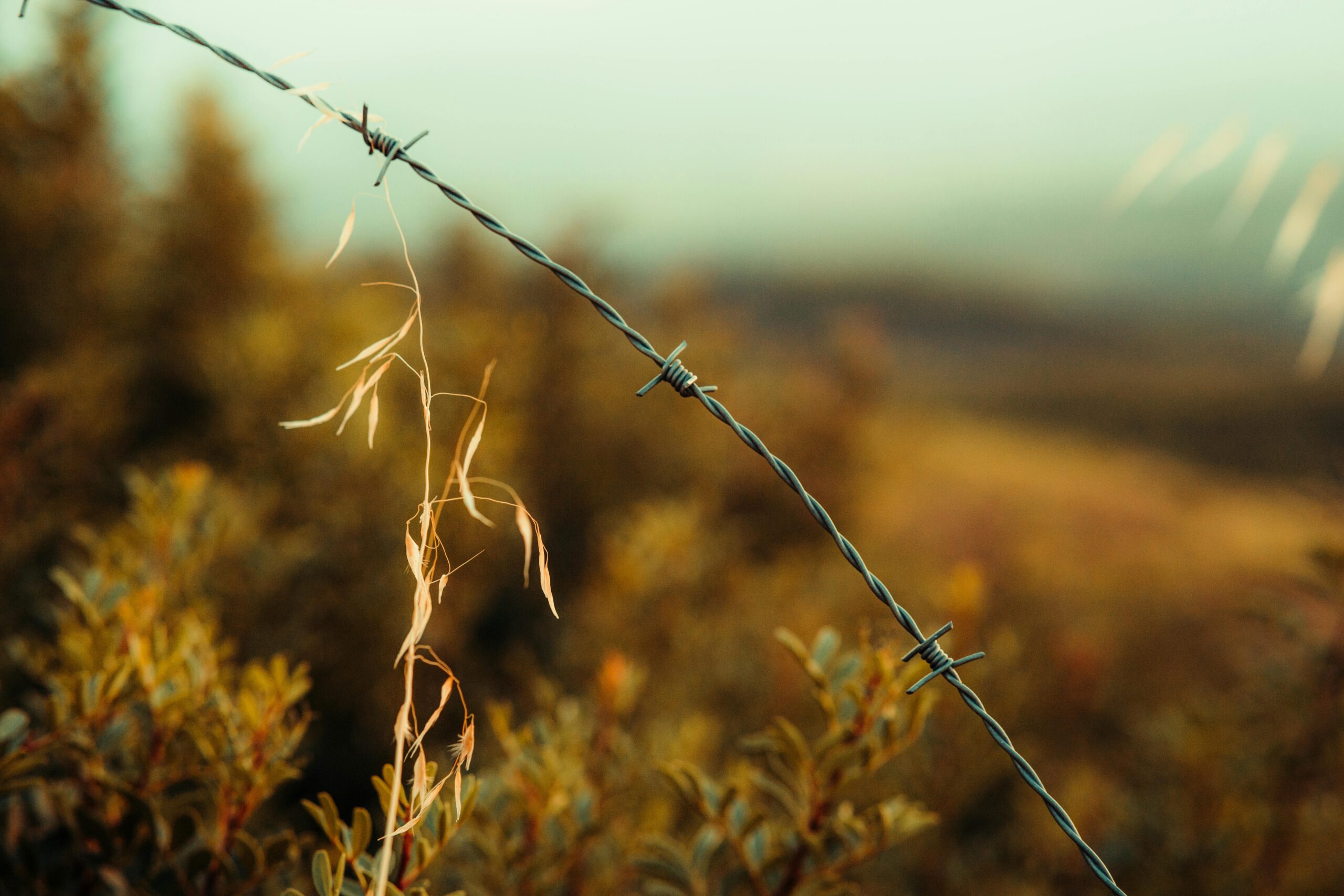 a field with a wired fence depicting PEACE & BOUNDARIES