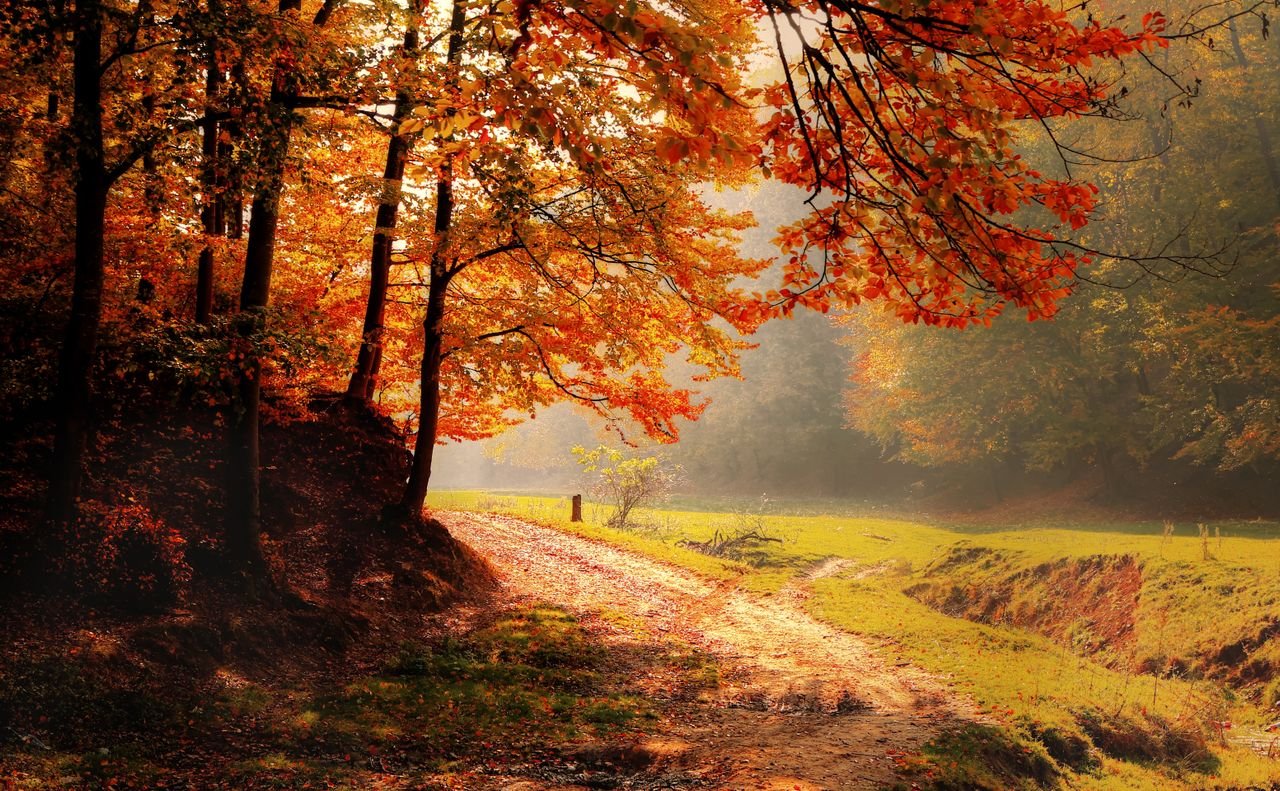 Choosing Peace More Than Being Right while on the road