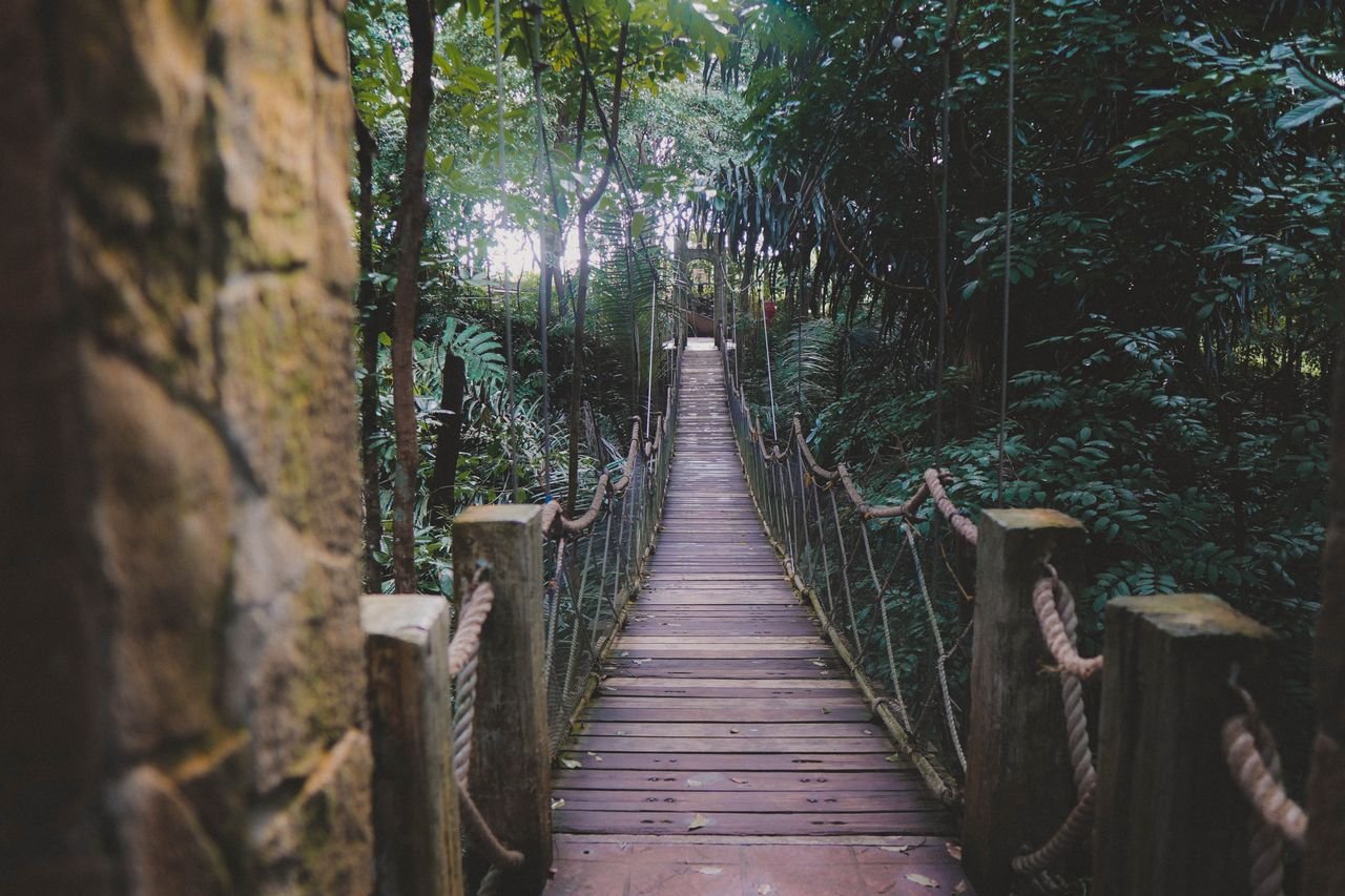Forest path representing the journey of personal growth and still figuring it out